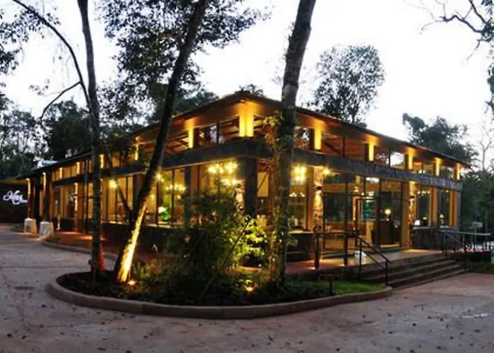 Yvy Hotel De Selva