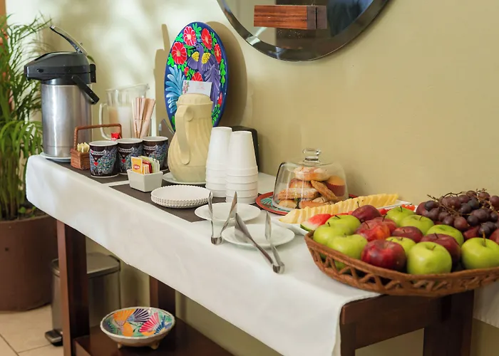 Hotel Casa Colonial Cozumel-Dog Friendly